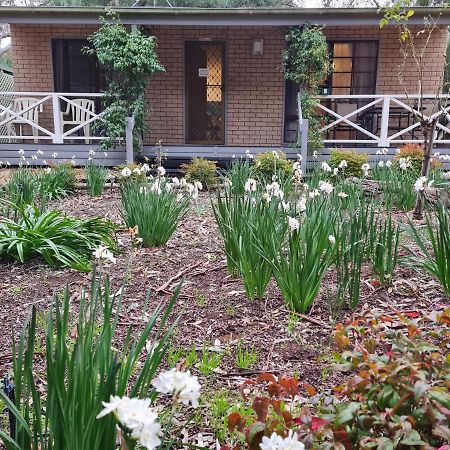 Barossa Country Cottages Lyndoch Buitenkant foto