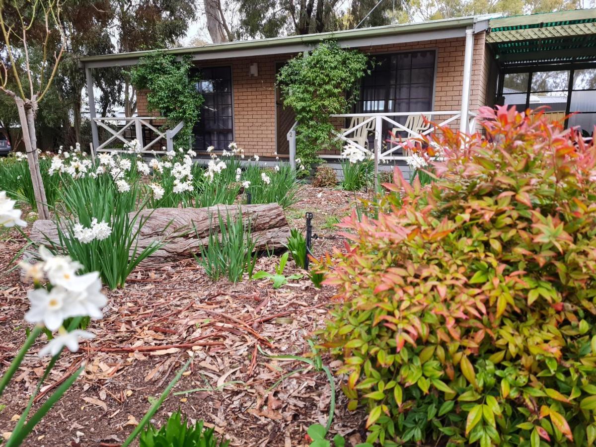 Barossa Country Cottages Lyndoch Buitenkant foto